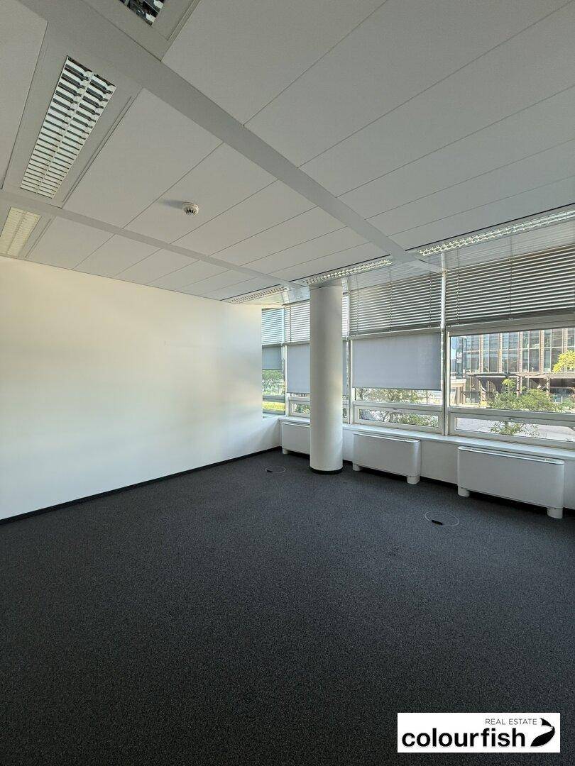 Geräumiges Büro mit Teppichboden, weißen Wänden und großen Fenstern, die viel Tageslicht hereinlassen.