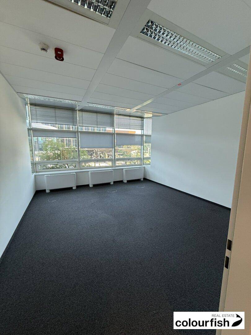 Leeres Büro mit dunklem Teppichboden, weißen Wänden und breiten Fenstern mit Jalousien.
