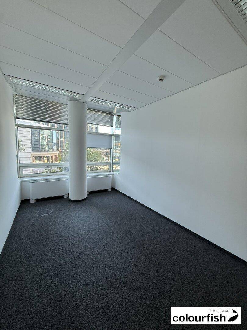 Helles Büro mit Teppichboden, weißen Wänden und einem Fenster mit Blick nach draußen.