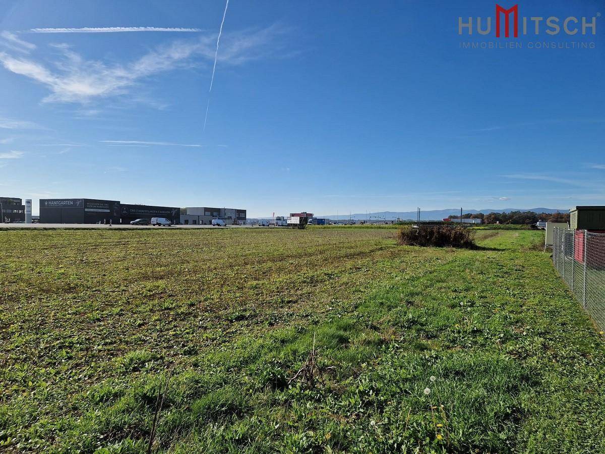Offenes grünes Feld mit Industriegebäuden am Horizont unter klarem blauem Himmel.