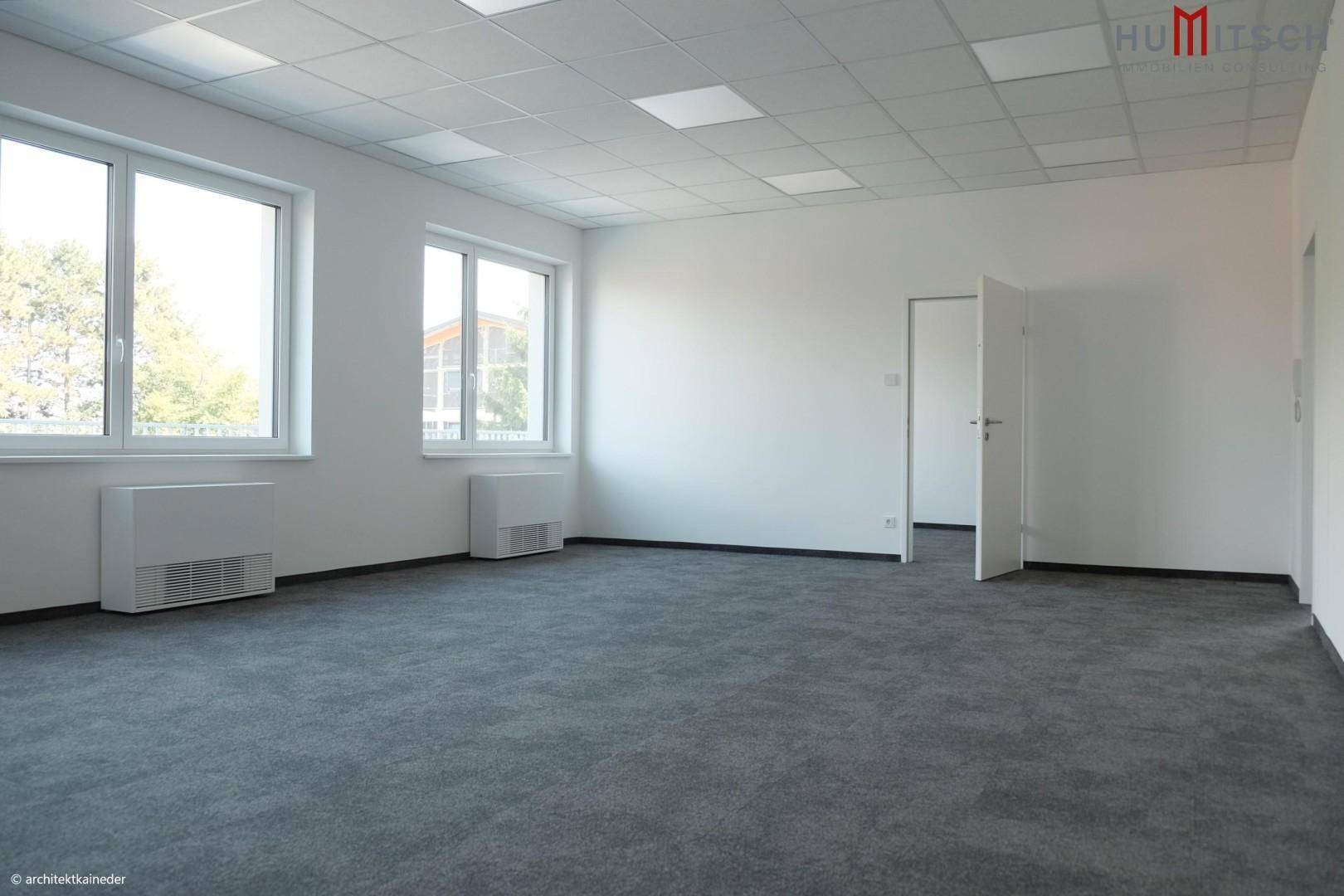 Heller Büroraum mit mehreren Fenstern, Heizkörpern und Teppichboden.