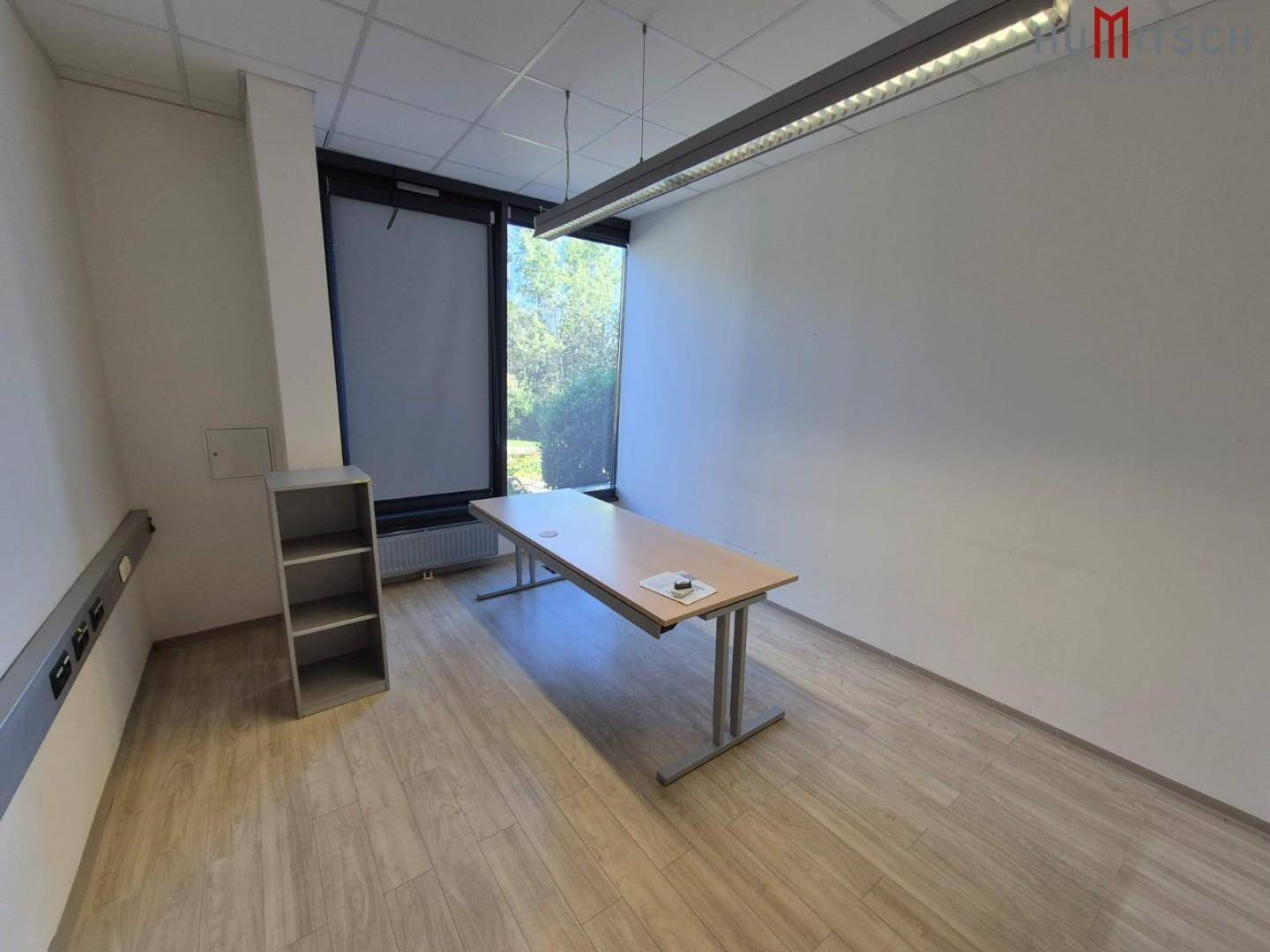 Modernes Büro mit Laminatboden, einem Schreibtisch und einem Regal.