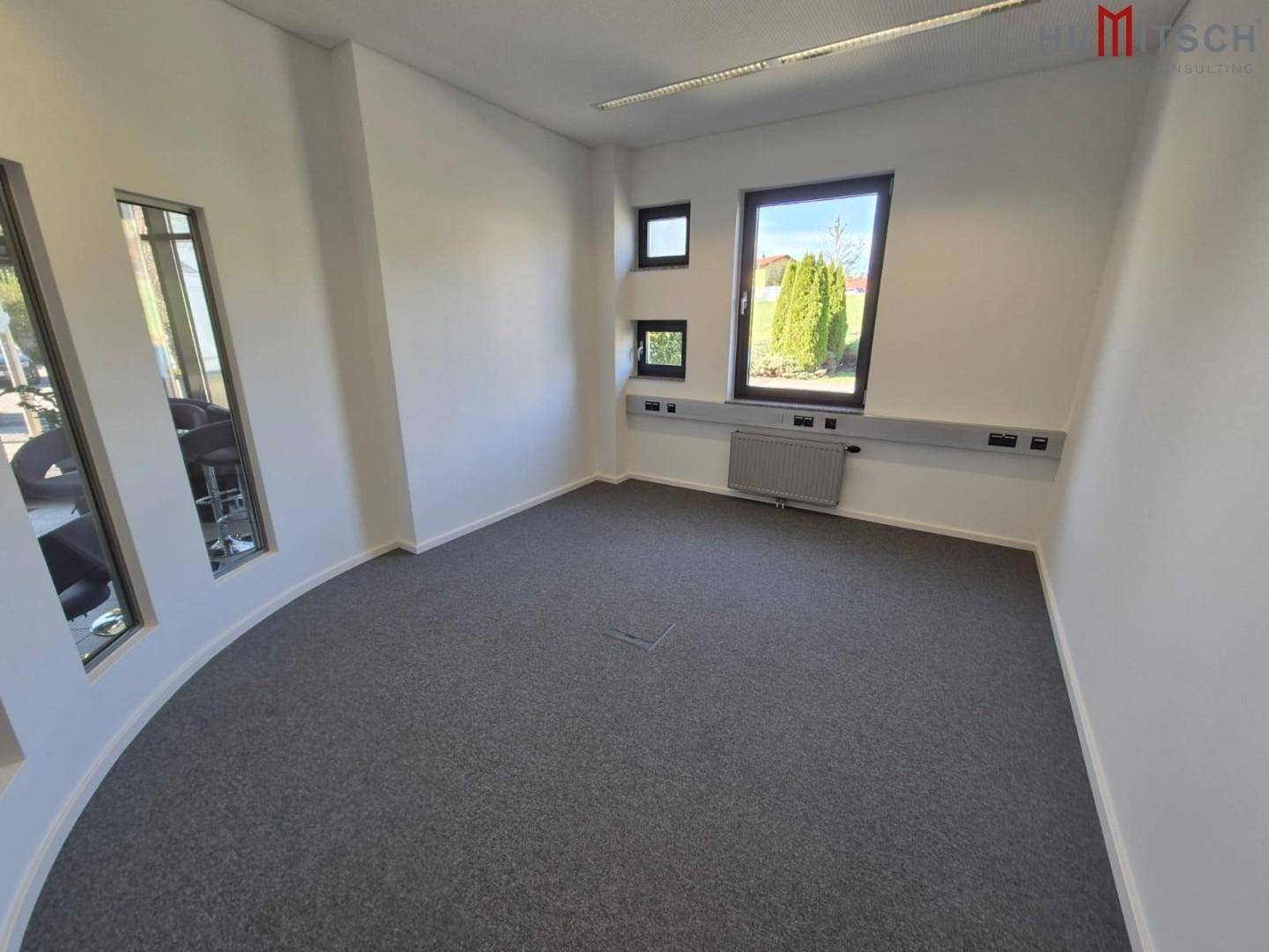 Modernes Büro mit Teppichboden, großen Fenstern und einer geschwungenen Wand.