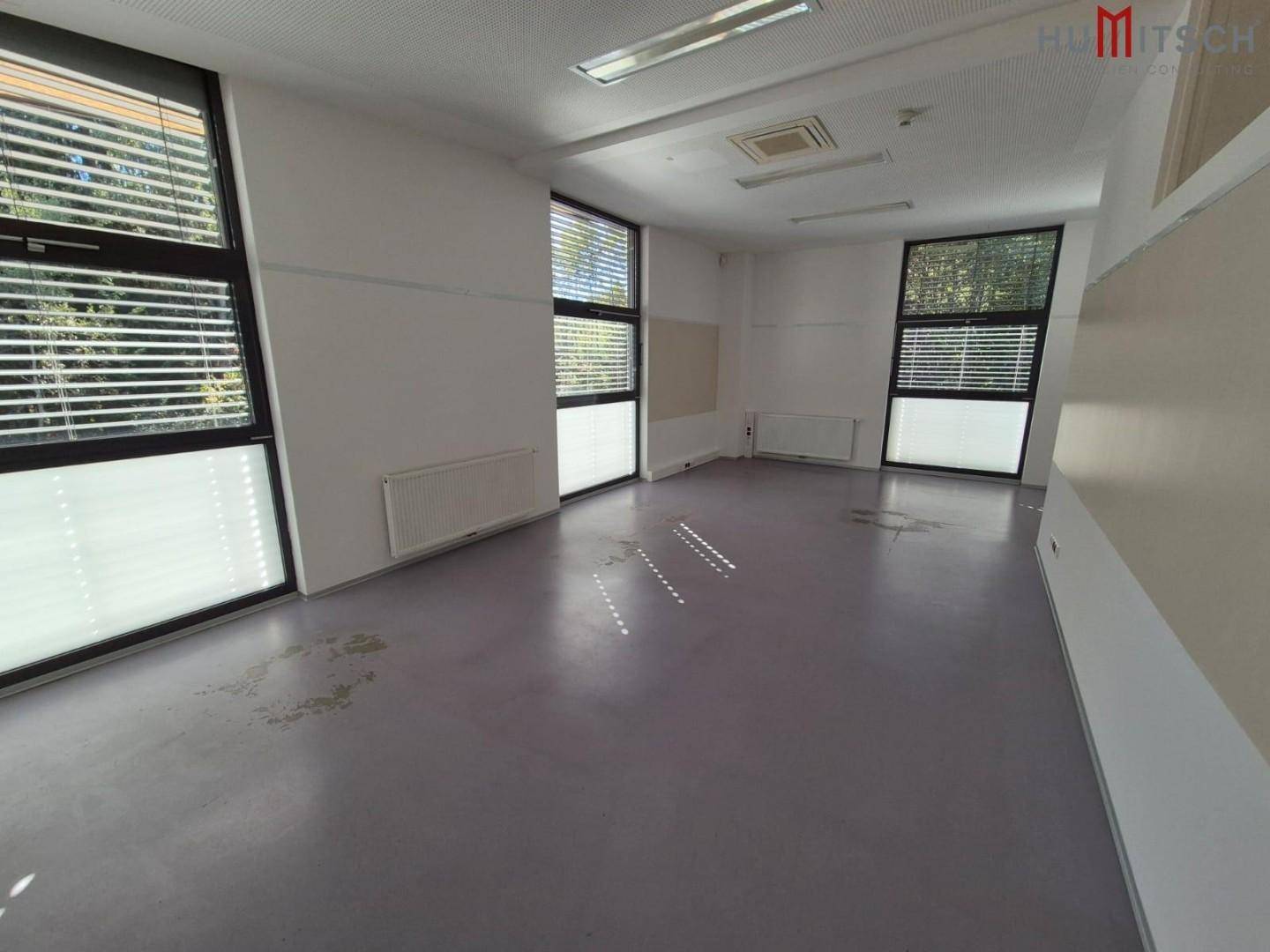 Helles Büro mit grauem Boden, großen Fenstern und viel Tageslicht.