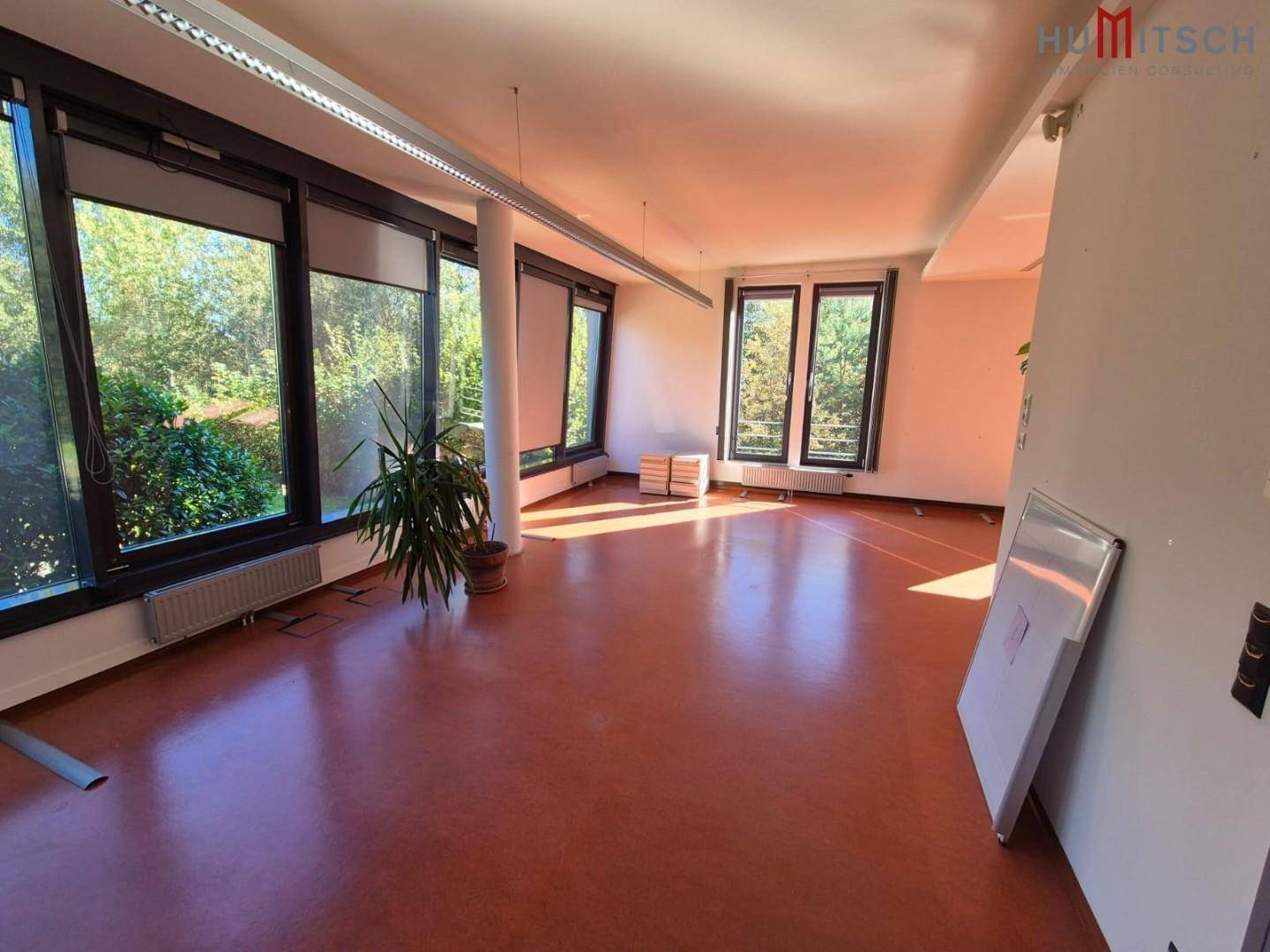 Geräumiger Büroraum mit rotem Vinylboden, großen Fenstern und einer Zimmerpflanze.