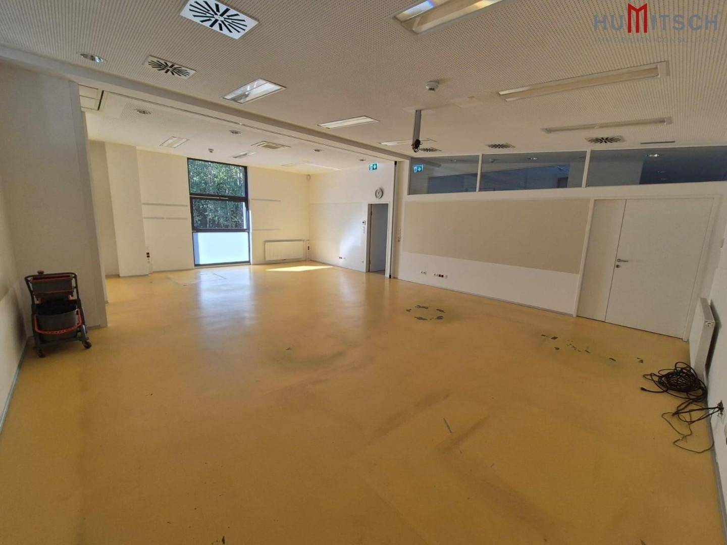 Großer, heller Raum mit gelbem Boden, Fenstern und abgehängter Decke.