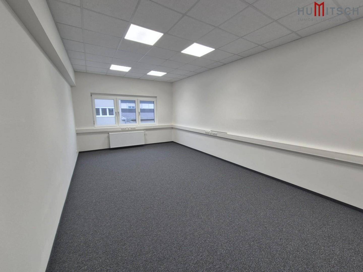 Helles Büro mit Teppichboden, einem Fenster und moderner Deckenbeleuchtung, ideal für Einzelbüros.