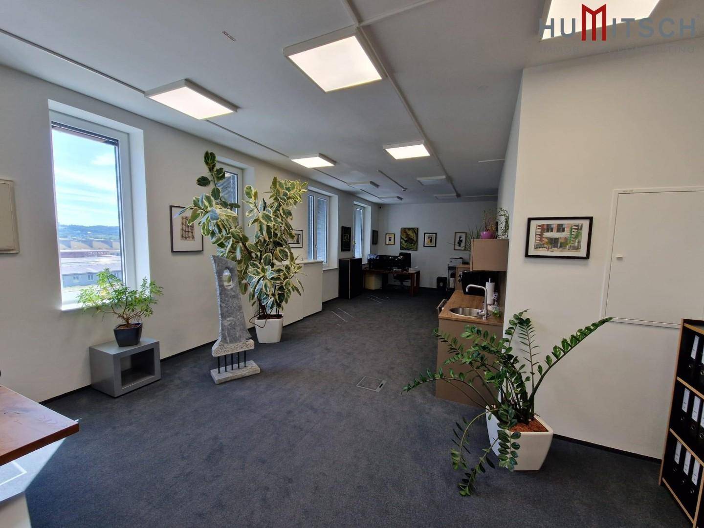 Geräumiges Büro mit Teppichboden, großen Fenstern und viel Tageslicht, ausgestattet mit Pflanzen und Kunstwerken.