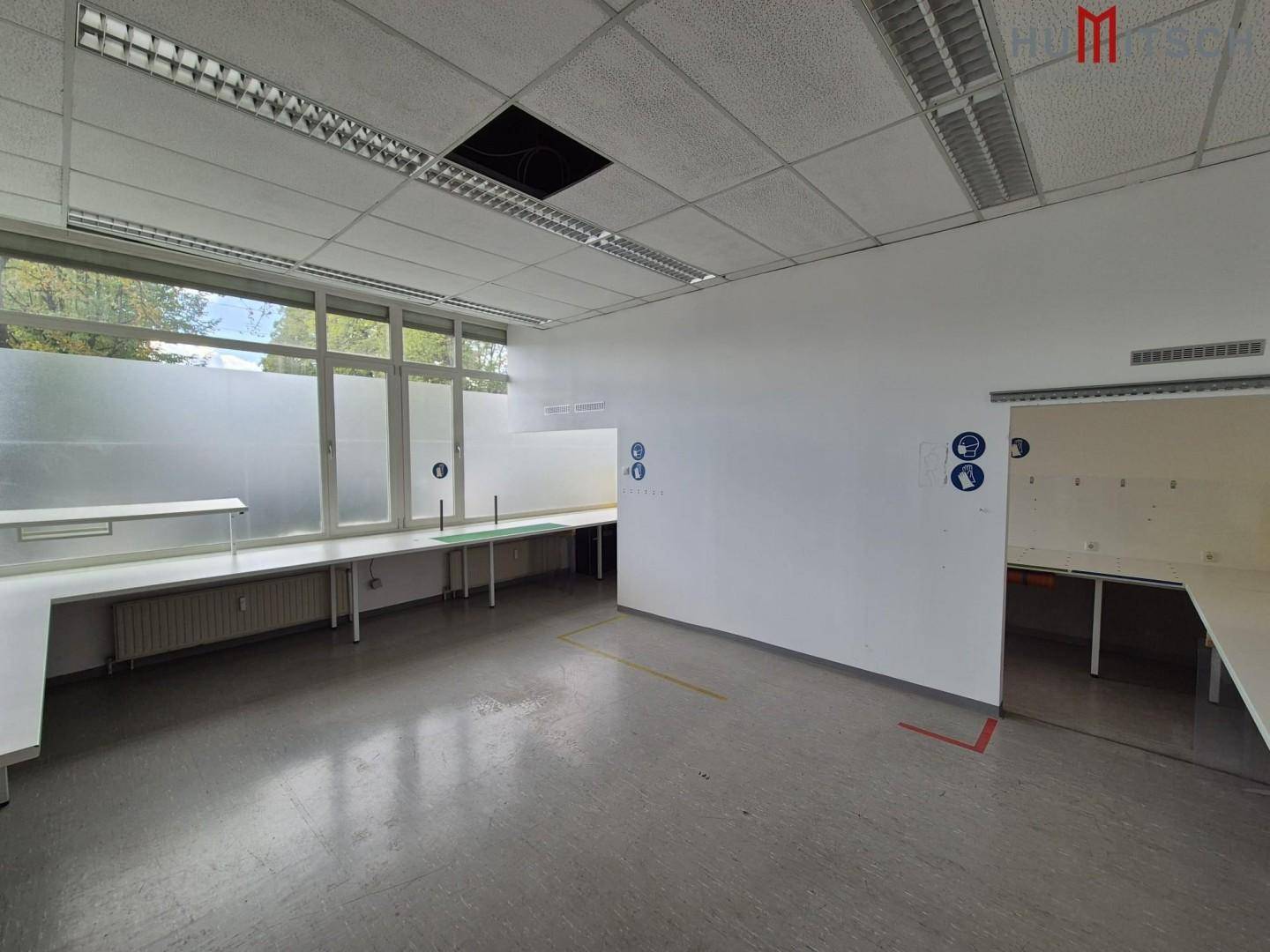 Funktionaler Laborraum mit langen Arbeitstischen, grauen Böden und Fenstern mit Sichtschutzfolie, ideal für technische Arbeiten.