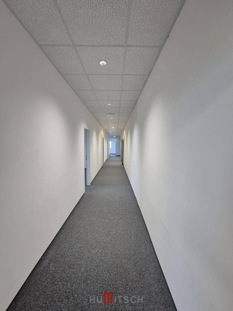 Heller und sauberer Flur mit Teppichboden und Deckenleuchten, der zu den verschiedenen Bereichen des Gebäudes führt.