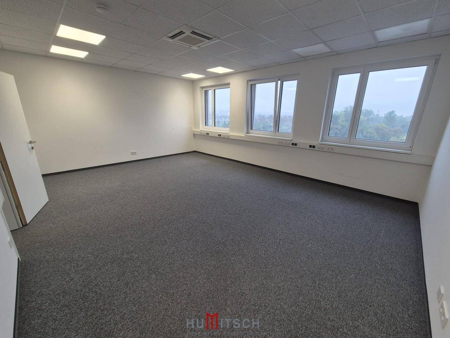 Geräumiges Büro mit Teppichboden und drei großen Fenstern, die eine helle und angenehme Arbeitsatmosphäre schaffen.