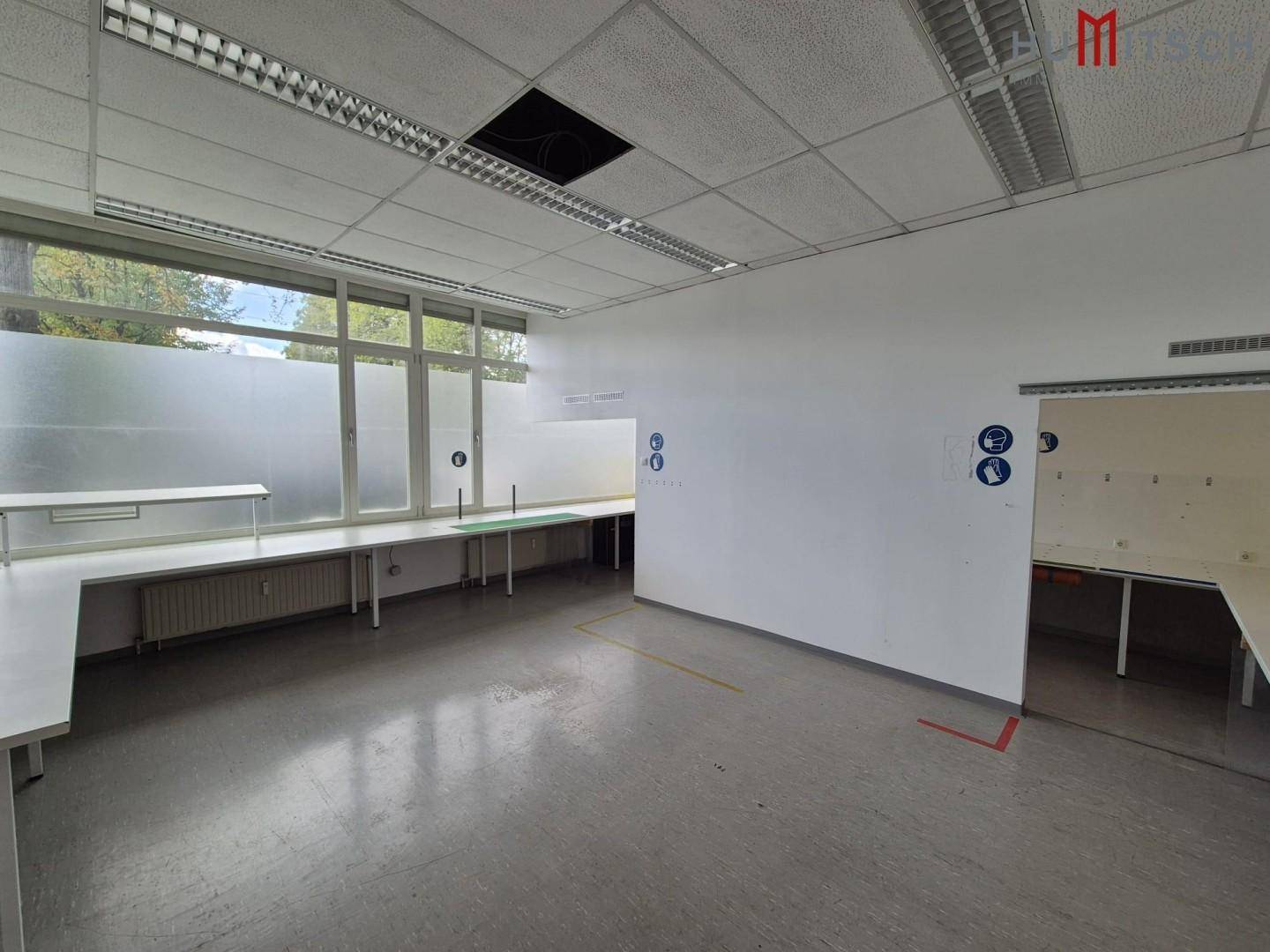 Funktionaler Laborraum mit langen Arbeitstischen, grauen Böden und Fenstern mit Sichtschutzfolie, ideal für technische Arbeiten.