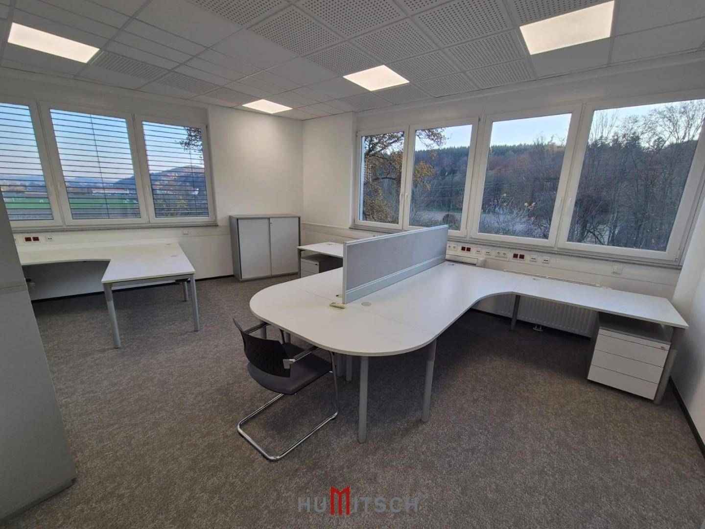 Helles Büro mit Teppichboden, modernen Schreibtischen und Blick ins Grüne durch große Fenster.