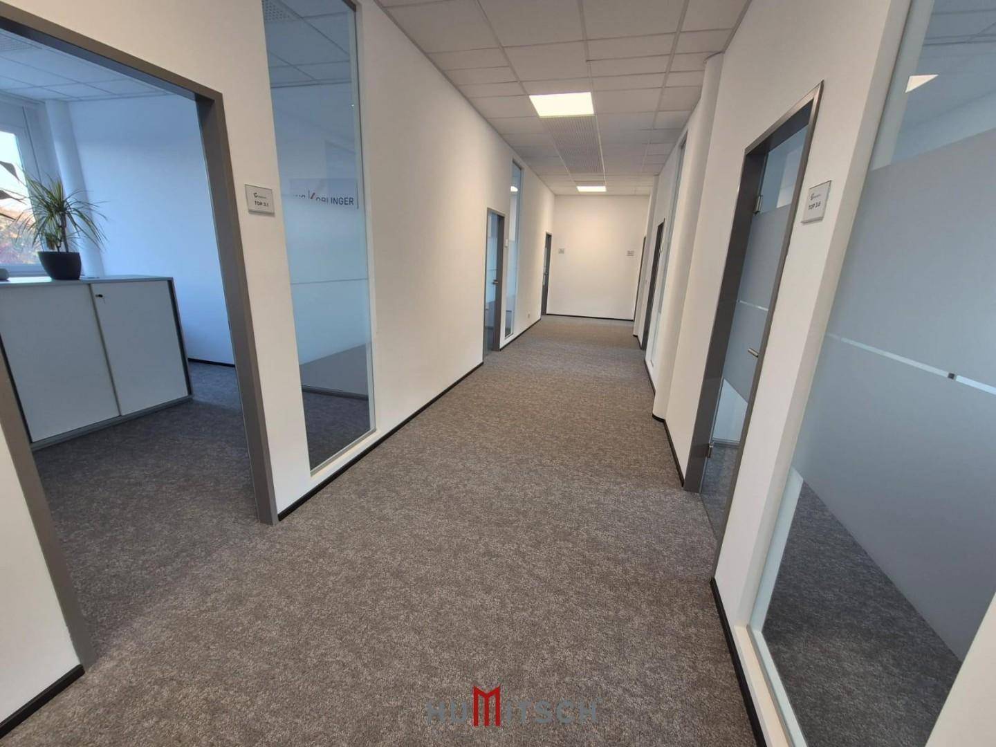 Langer Bürogang mit Teppichboden und Glastüren zu den einzelnen Büros, modern und funktional.