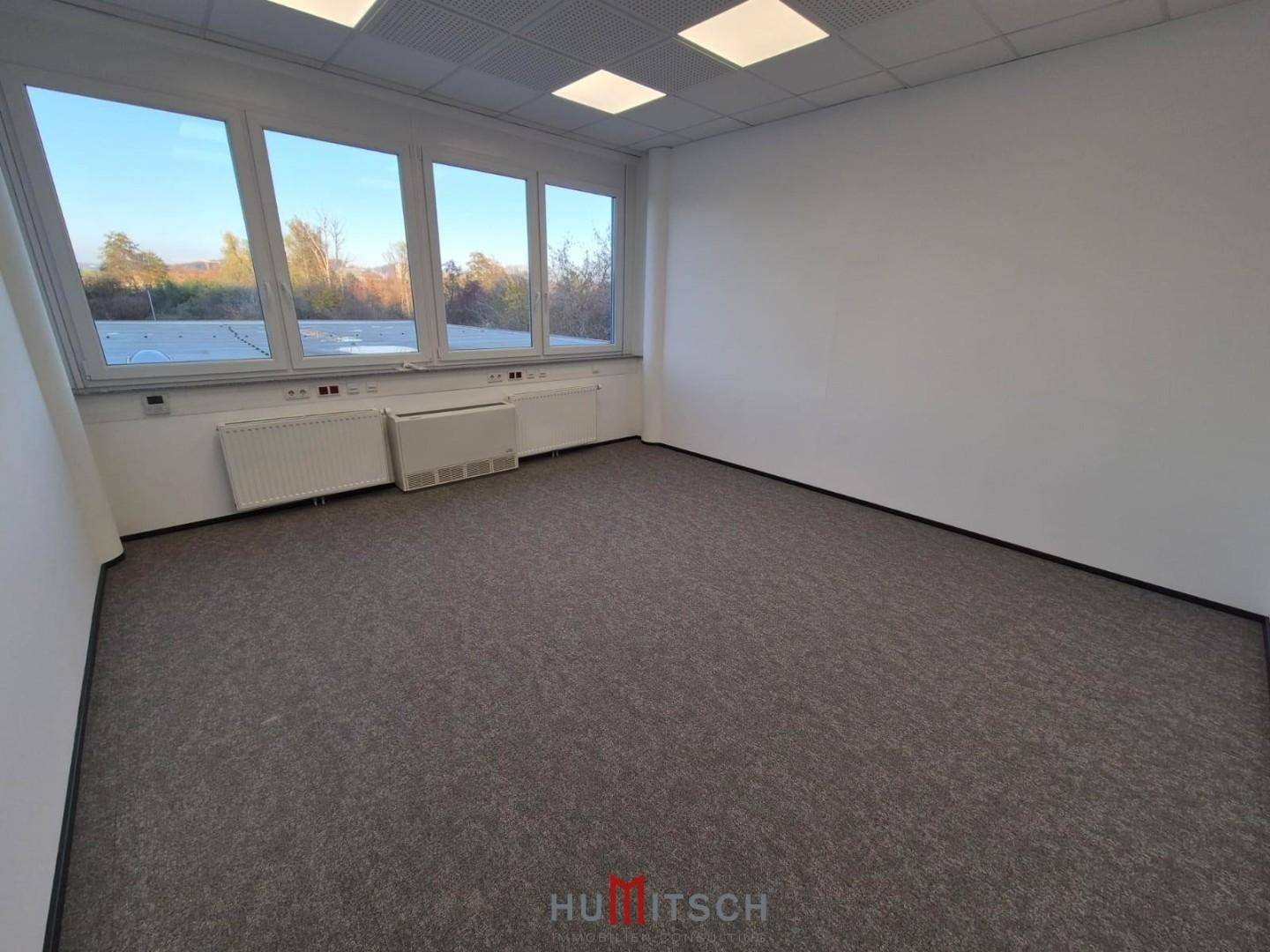 Helles und geräumiges Büro mit grauem Teppichboden und großen Fenstern mit weitem Ausblick.