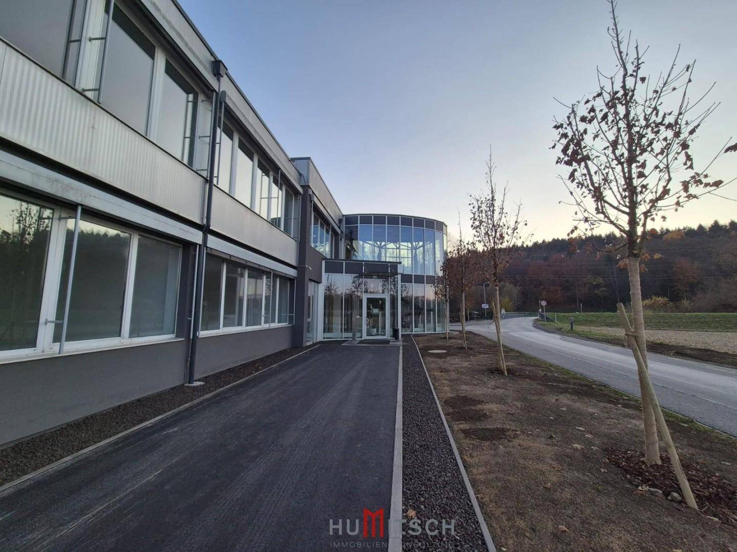 Seitenansicht des Bürogebäudes mit Eingangsbereich, Zufahrt und Blick auf die umliegende Natur.