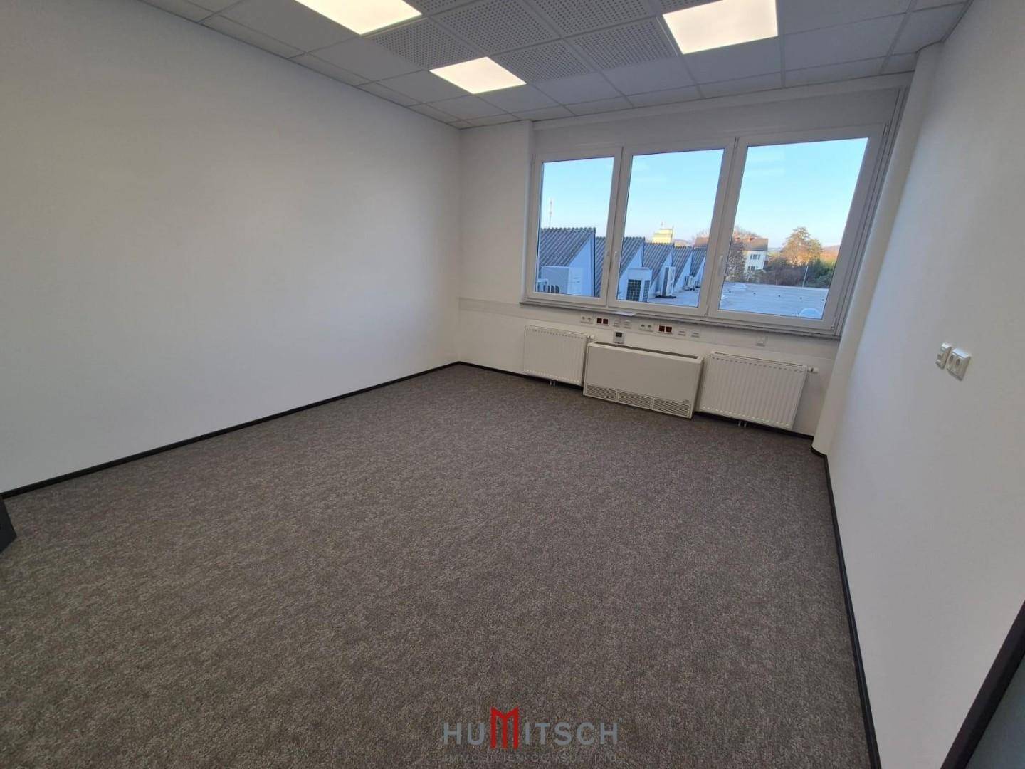 Geräumiges, leeres Büro mit grauem Teppichboden und breiten Fenstern, die einen Blick nach draußen bieten.