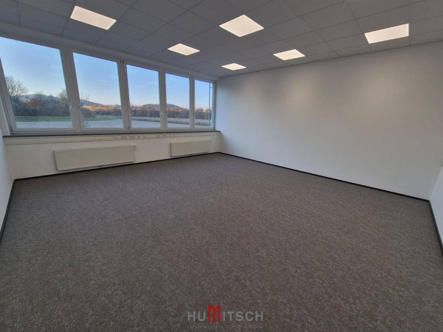 Helles Büro mit Teppichboden und großen Fenstern, die einen weiten Blick auf die Umgebung ermöglichen.