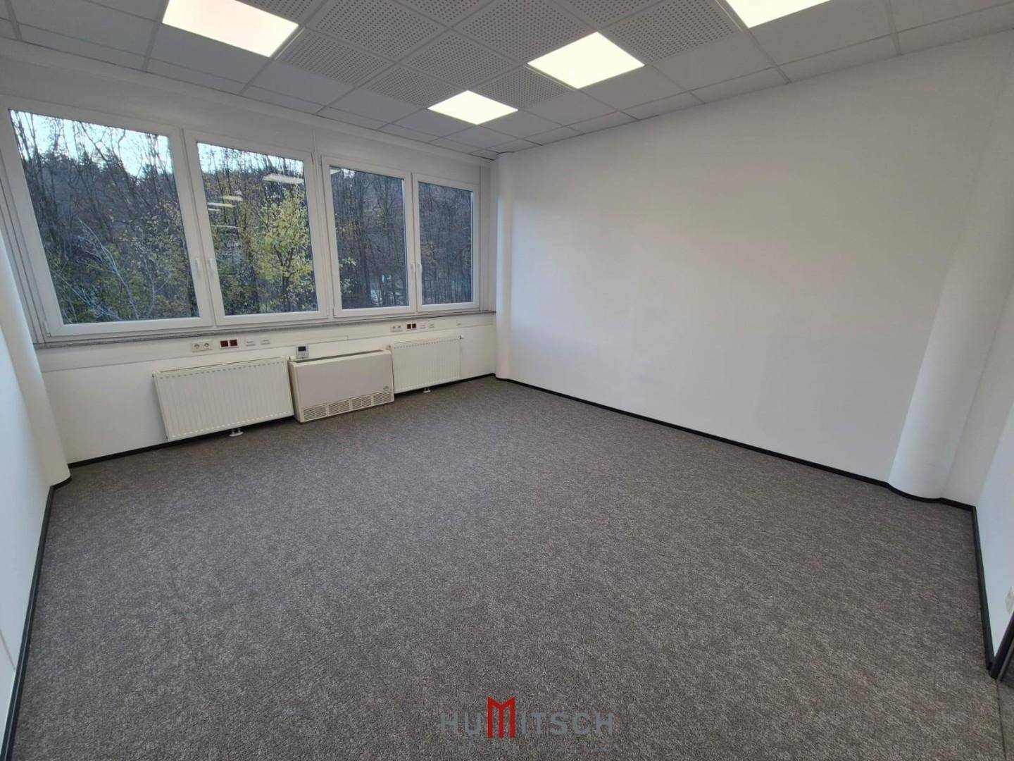 Geräumiges Büro mit Teppichboden und großen Fenstern, die viel Tageslicht und einen Blick ins Grüne bieten.
