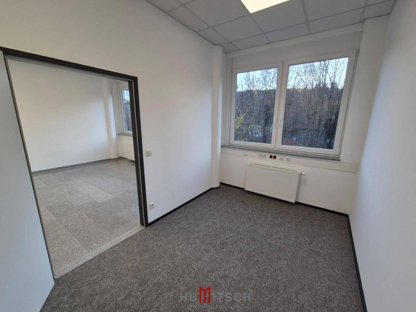 Leeres Büro mit grauem Teppichboden, weißen Wänden und großen Fenstern, die viel Tageslicht hereinlassen.
