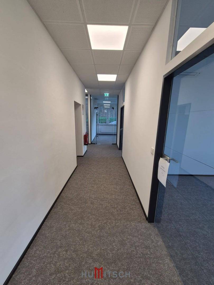 Langer, heller Flur mit Teppichboden und modernen Deckenleuchten, der zu weiteren Büroräumen führt.