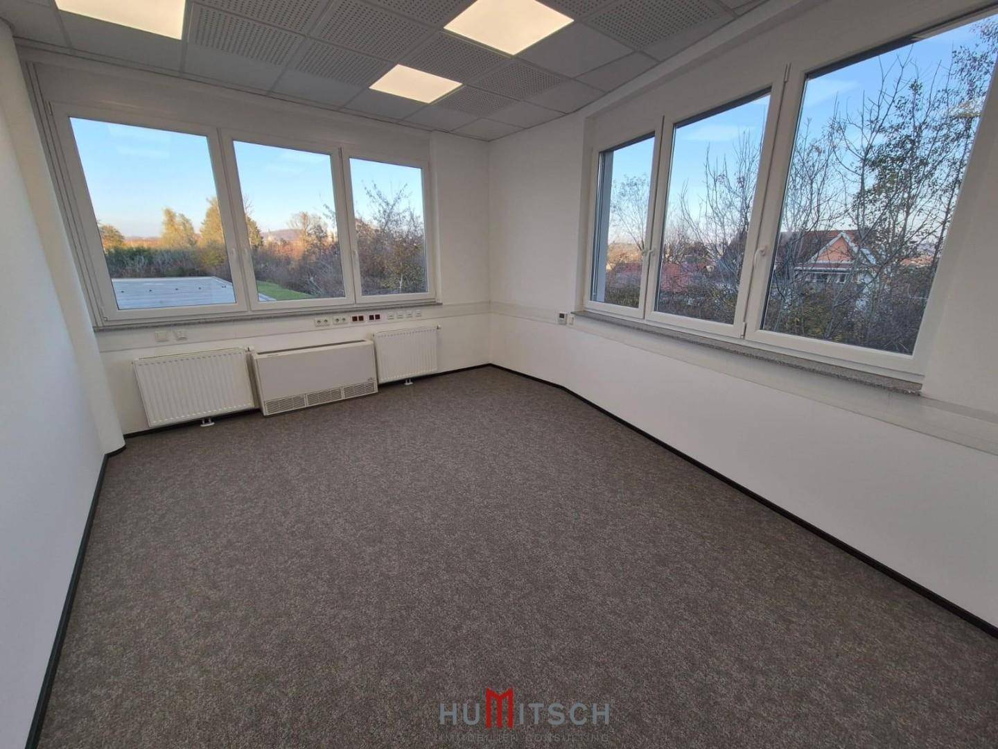 Helles Büro mit Teppichboden und großen Fenstern, die einen weiten Blick auf die Umgebung ermöglichen.