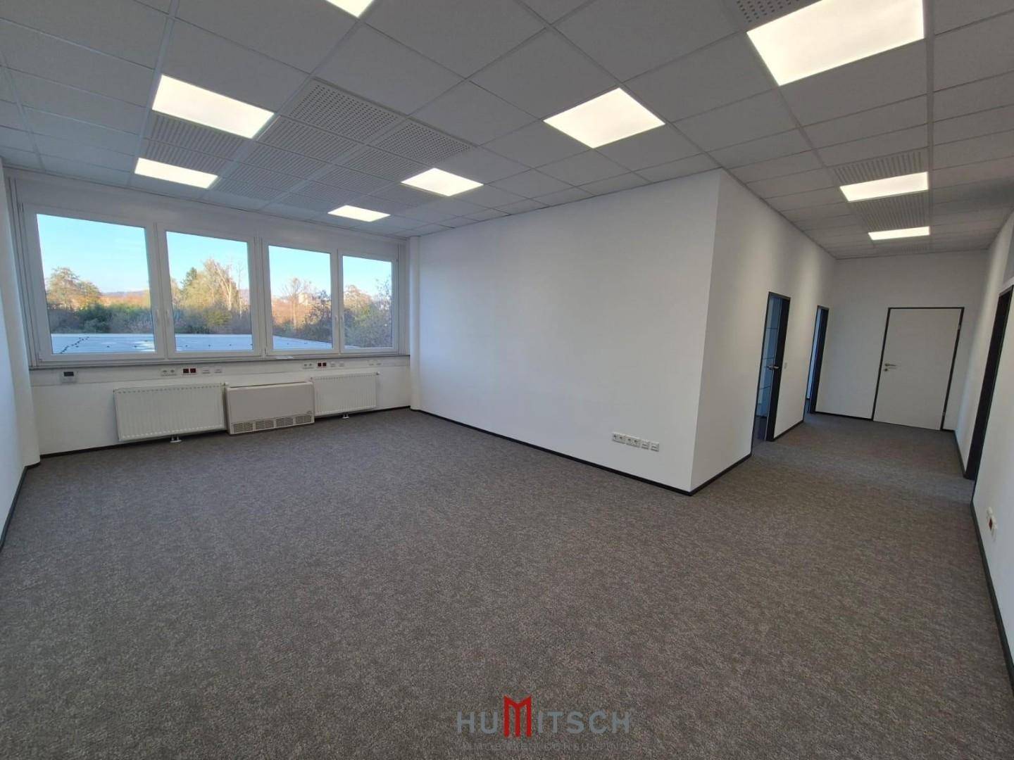 Großes Büro mit Teppichboden und vielen Fenstern, bietet viel Tageslicht und einen weiten Ausblick.