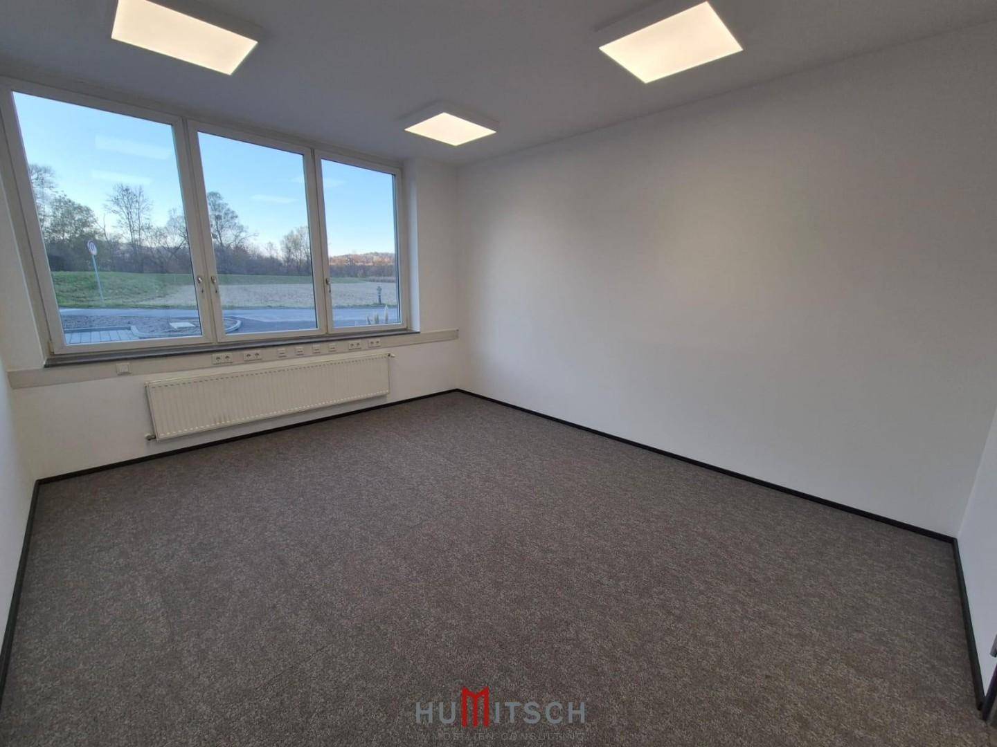 Leeres Büro mit Teppichboden und großen Fenstern, die einen weiten Blick ins Grüne bieten.