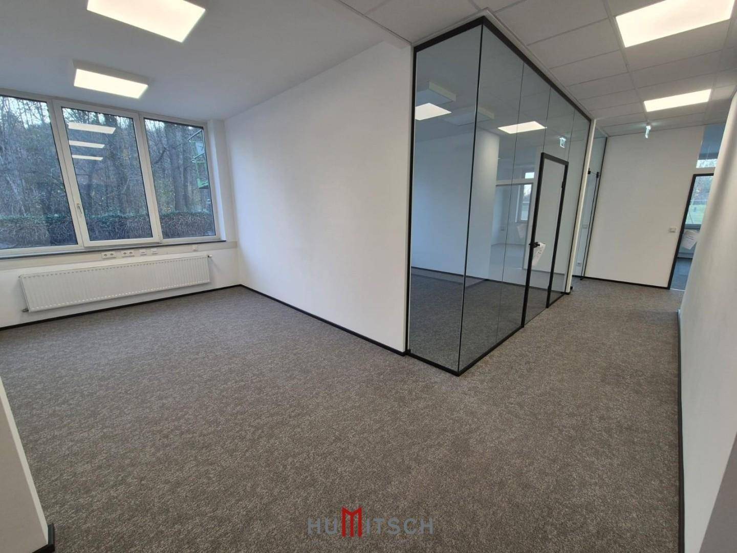 Geräumiges Büro mit Teppichboden, großen Fenstern und einer modernen Glaswand für separate Bereiche.