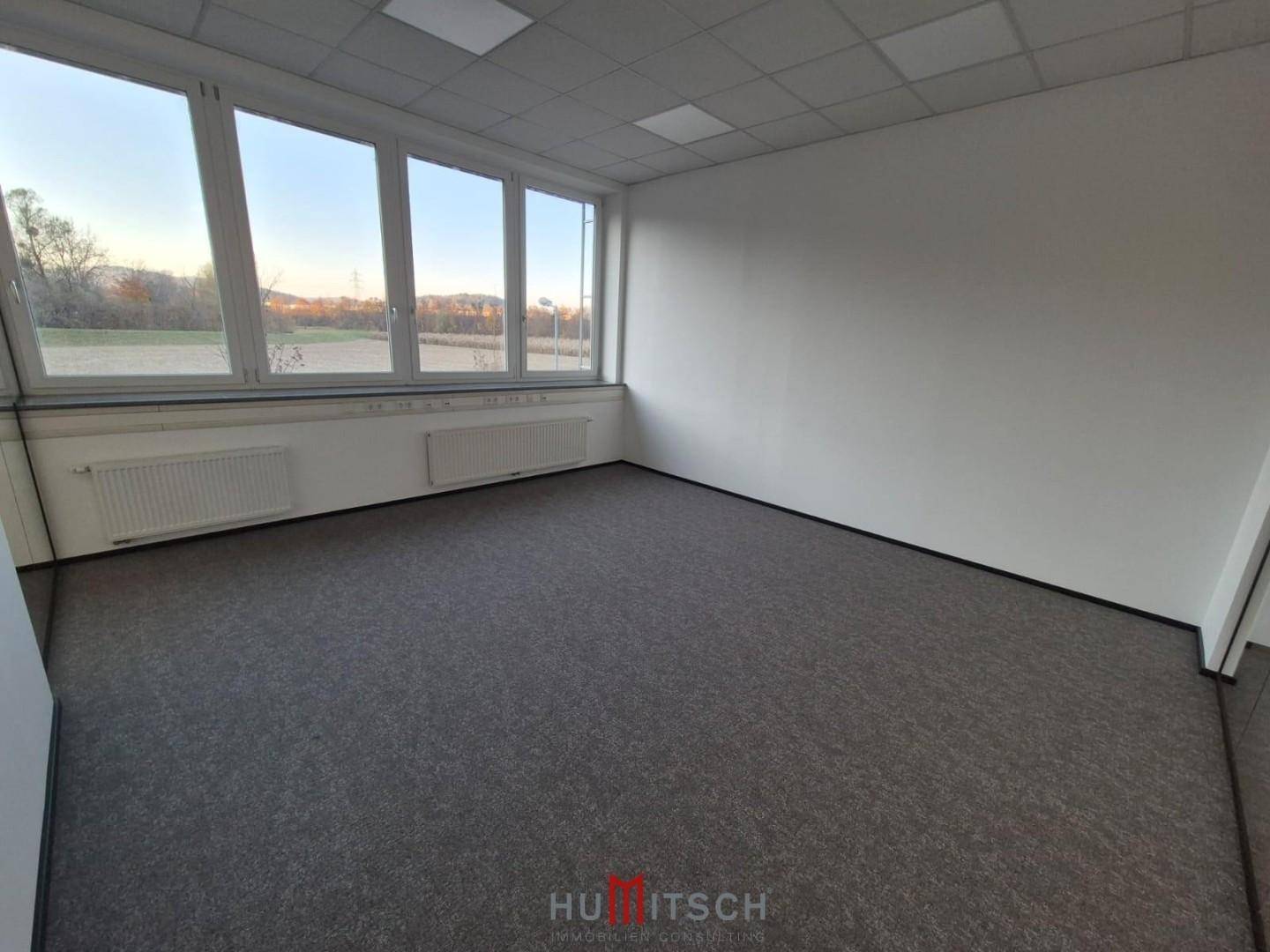 Geräumiges Büro mit Teppichboden und großen Fenstern, die viel Tageslicht und einen weiten Blick bieten.