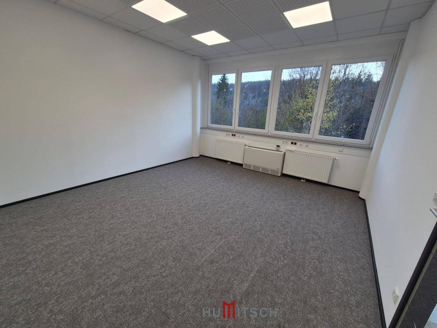 Großes, leeres Büro mit Teppichboden und einer langen Fensterreihe, die viel Helligkeit spendet.