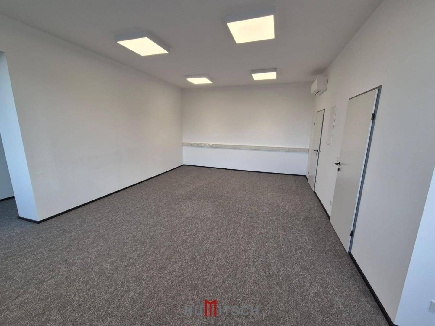 Leeres Büro mit Teppichboden, weißen Wänden und Deckenleuchten, bereit zur individuellen Gestaltung.