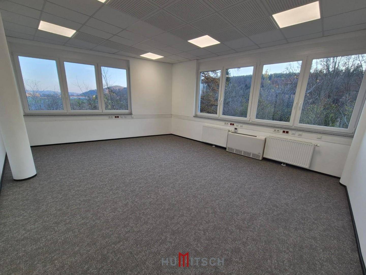 Helles Büro mit Teppichboden und großen Fenstern, die einen weiten Blick auf die bewaldete Umgebung bieten.