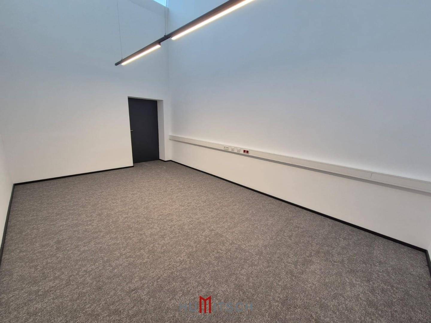 Helles Büro mit Teppichboden und hoher Decke, ausgestattet mit moderner Deckenbeleuchtung.