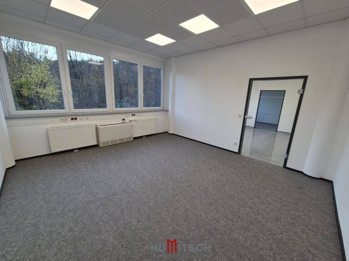Helles Büro mit grauem Teppichboden und einer Fensterfront, die einen Blick ins Grüne ermöglicht.