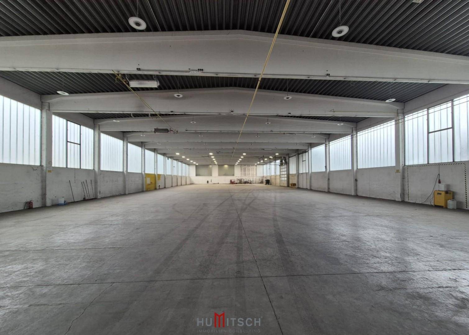 Weitläufige Industriehalle mit Betonboden, hohen Decken und durchgehenden Fensterbändern für viel Tageslicht.