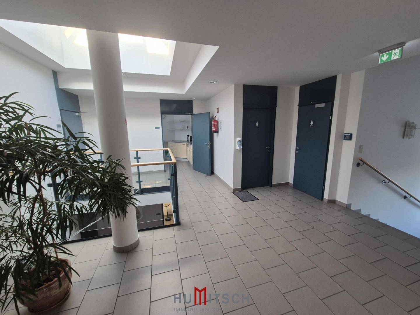 Geräumiger Flur mit Fliesenboden, einer Pflanze und einem Oberlicht, das den Bereich natürlich beleuchtet.