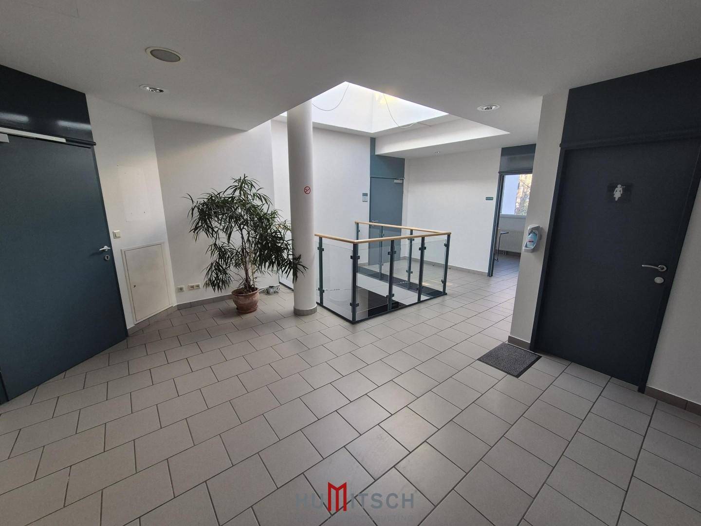 Heller Eingangsbereich mit Fliesenboden, einer Pflanze und einem Oberlicht, das viel Tageslicht spendet.