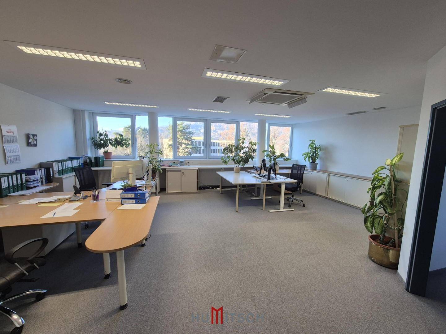 Weitläufiges Büro mit Teppichboden, vielen Fenstern und Pflanzen, die eine angenehme Arbeitsatmosphäre schaffen.