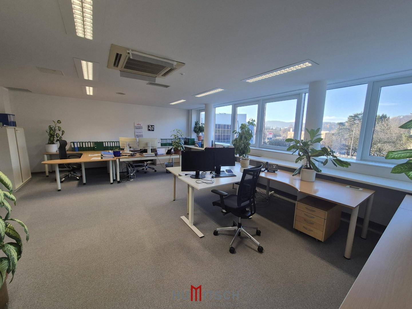Geräumiges Büro mit mehreren Arbeitsplätzen, Teppichboden und Blick ins Grüne durch große Fenster.