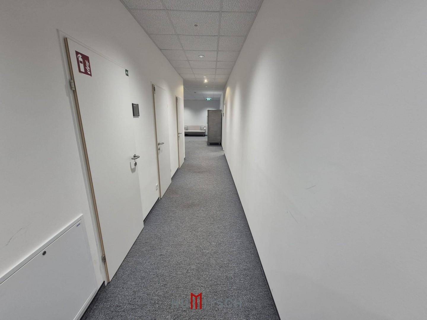 Langer, heller Flur mit Teppichboden und mehreren Türen, die zu verschiedenen Räumen führen.