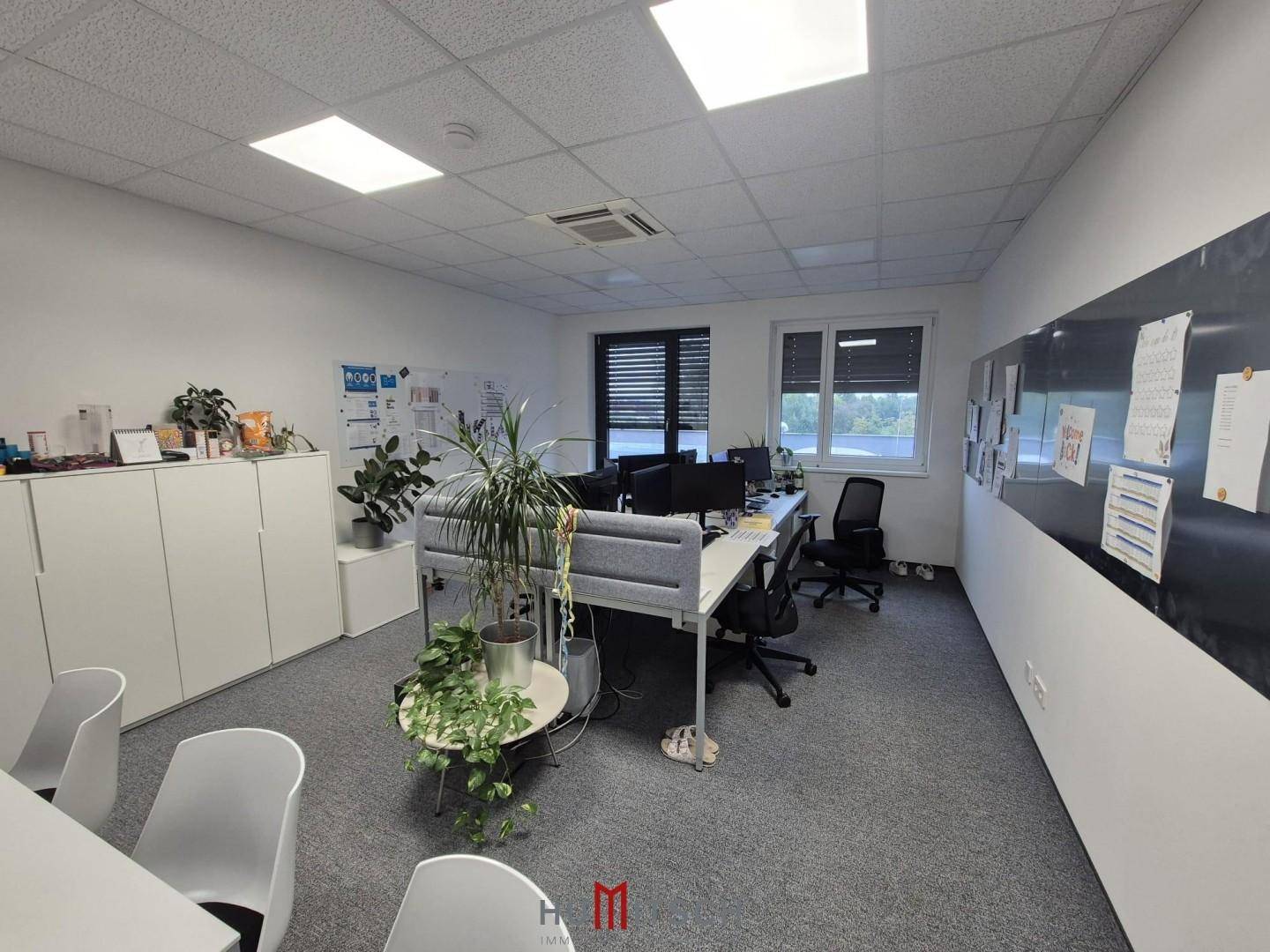 Modernes Büro mit mehreren Arbeitsplätzen, Pflanzen und großen Fenstern für eine helle Atmosphäre.