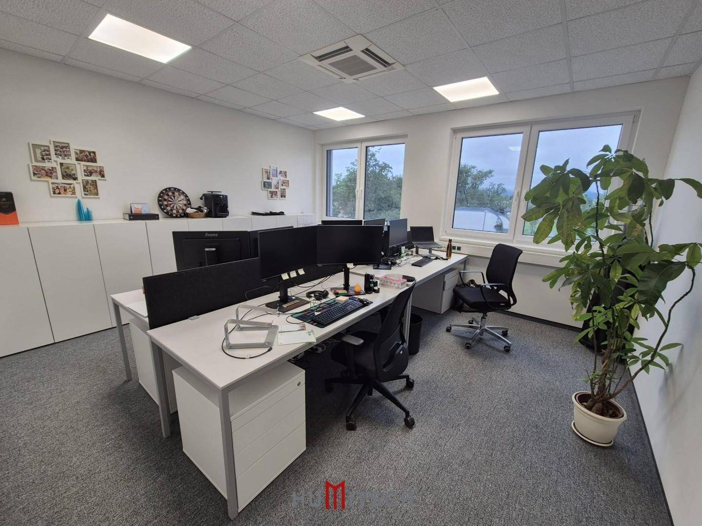 Modernes Büro mit mehreren Arbeitsplätzen, Pflanzen und Schränken entlang der Wand für Stauraum.