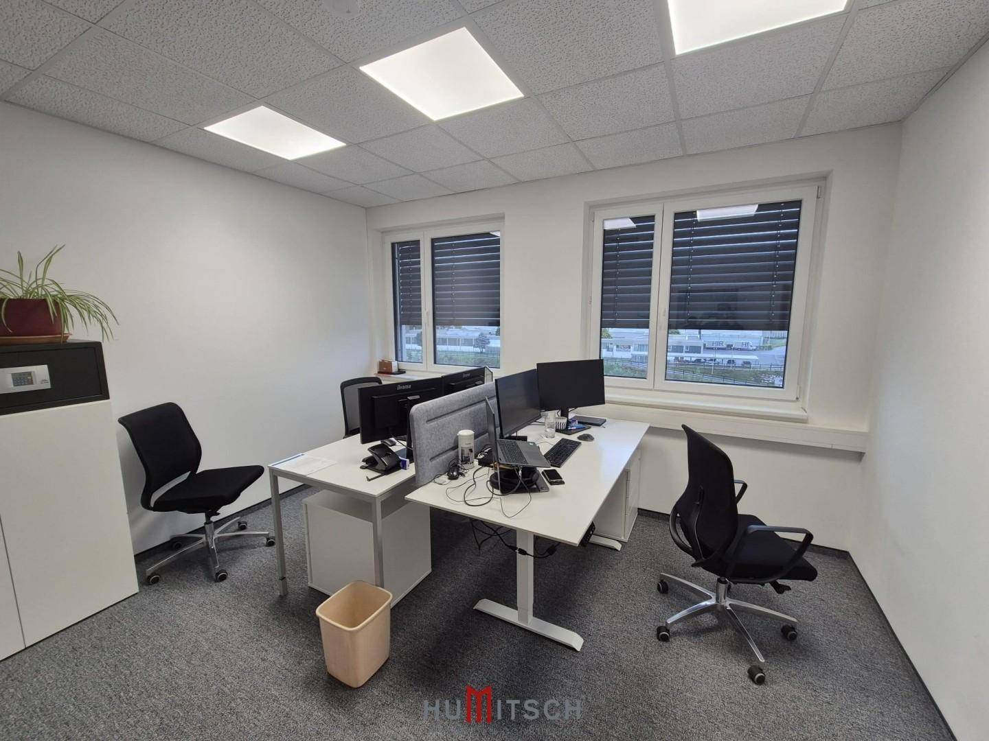Helles Büro mit zwei Arbeitsplätzen, großen Fenstern und Teppichboden für eine angenehme Arbeitsatmosphäre.