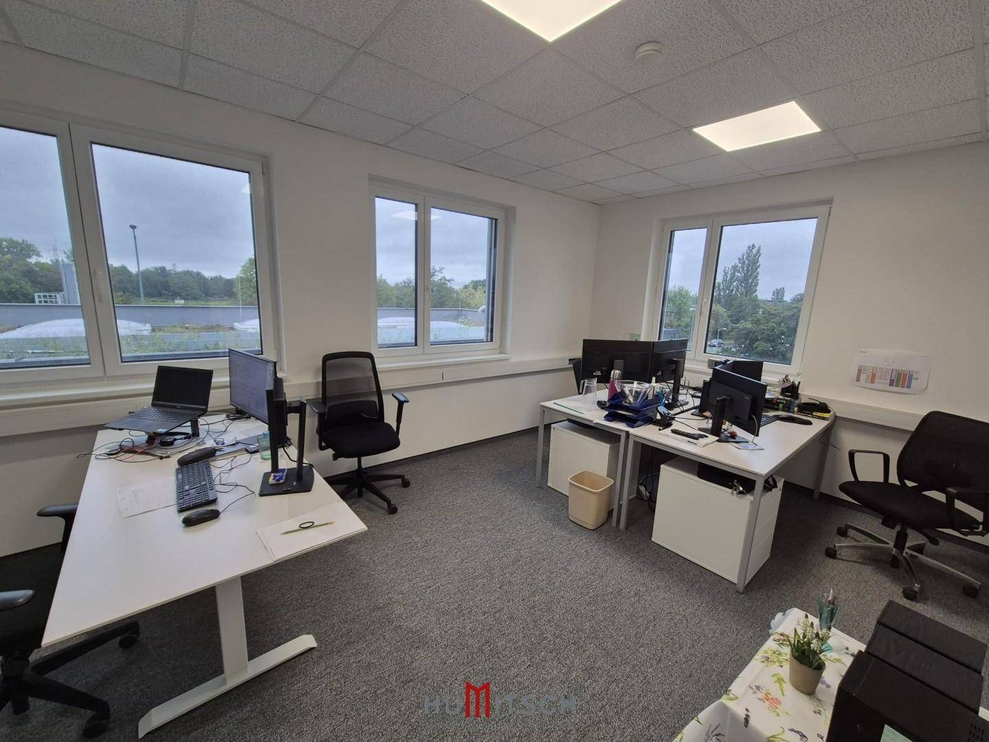 Büro mit mehreren Arbeitsplätzen, Teppichboden und großen Fenstern, die viel Licht hereinlassen.