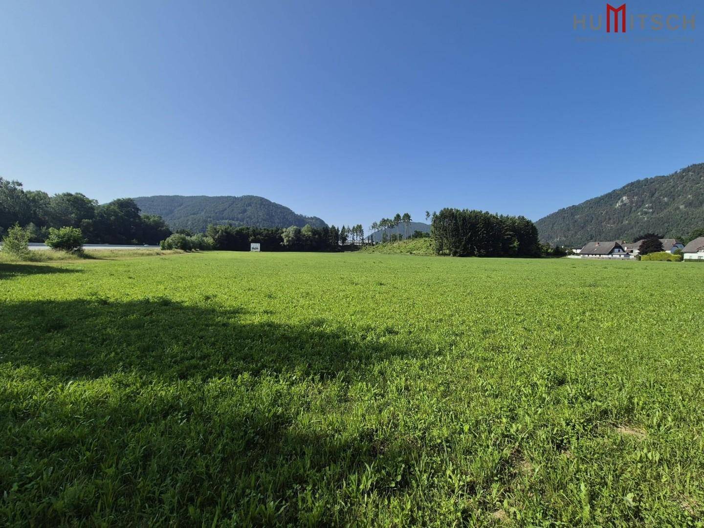 Weitläufige grüne Wiese unter blauem Himmel mit bewaldeten Hügeln im Hintergrund, die eine ländliche Landschaft zeigt.