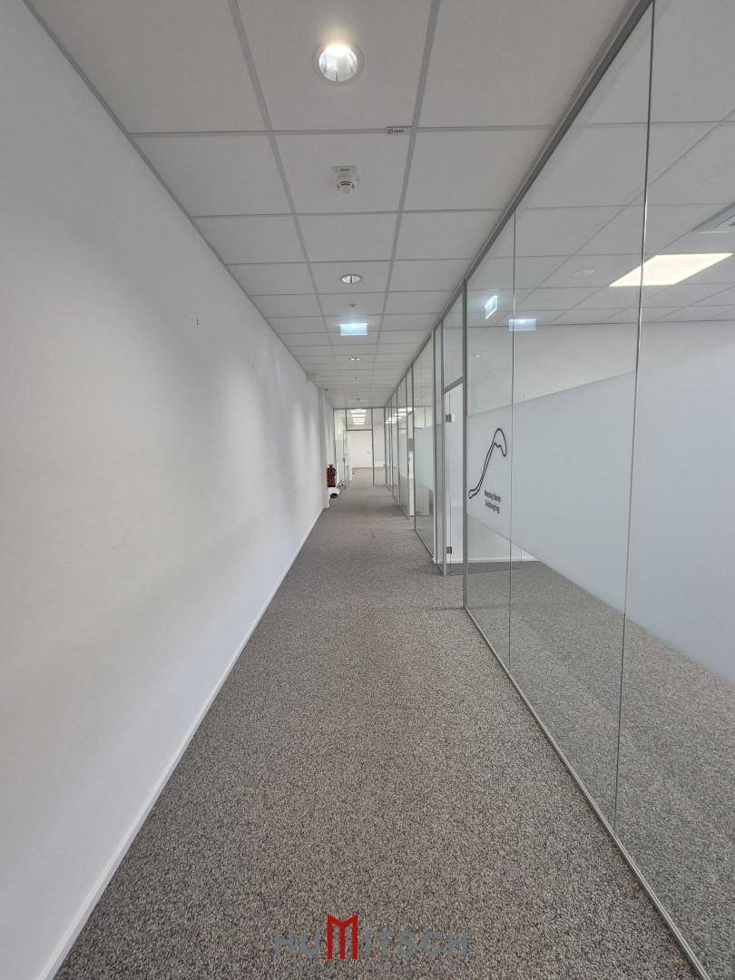 Heller Bürogang mit Teppichboden und durchgehenden Glaswänden, die moderne Büros abgrenzen.