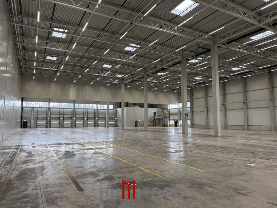 Geräumige, leere Lagerhalle mit hoher Decke, Oberlichtern und Betonboden, bereit zur Nutzung.
