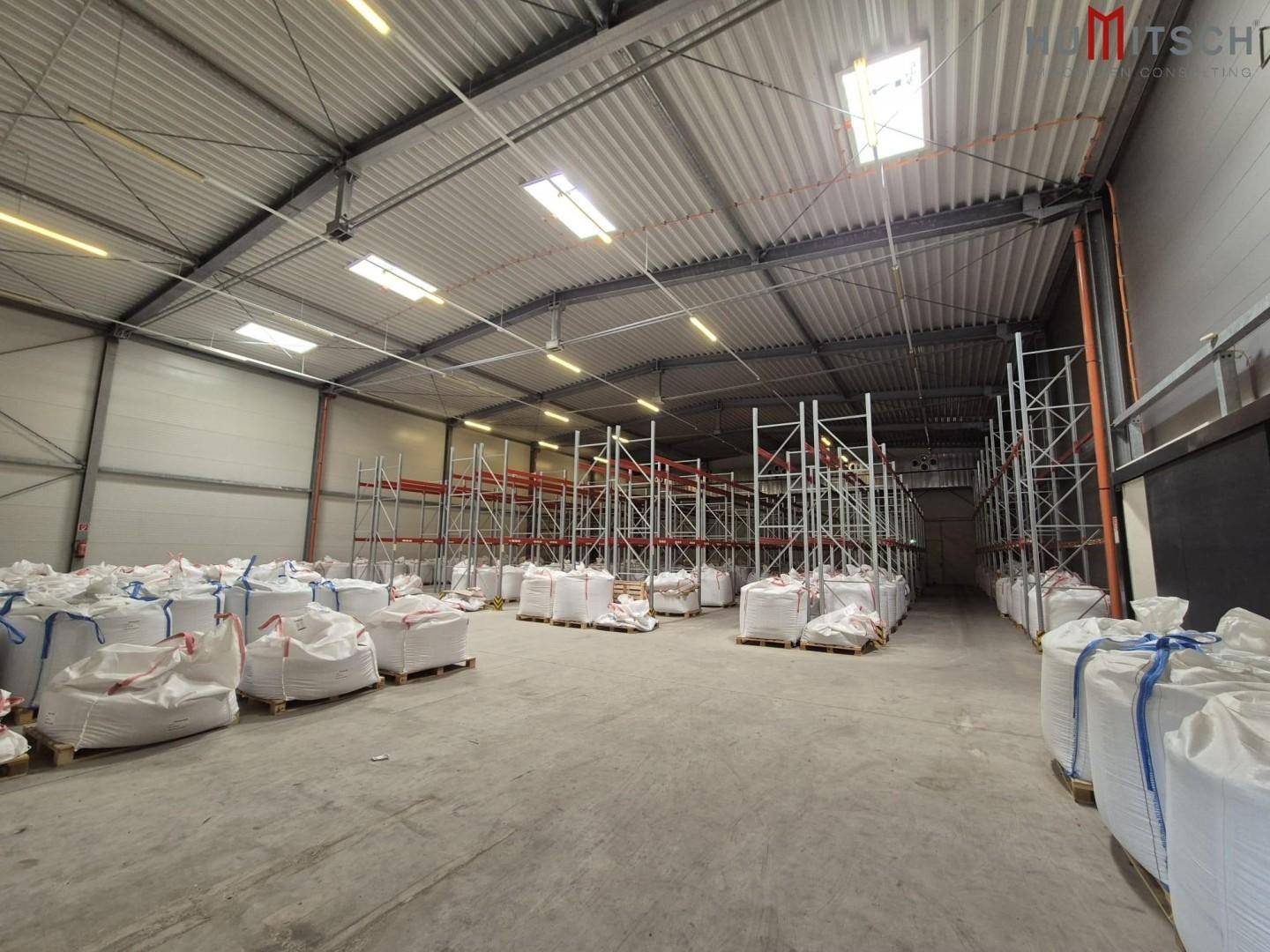 Geräumige Lagerhalle mit hohen Decken, Oberlichtern und Regalsystemen, bereit für die Nutzung.