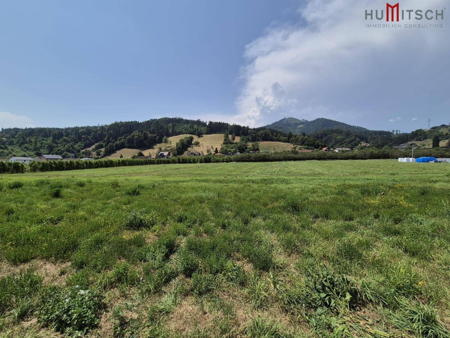 Großes, unberührtes Feld mit üppigem Grün und Panoramablick auf die umliegende Berglandschaft.